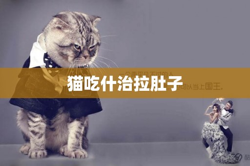 貓吃什治拉肚子