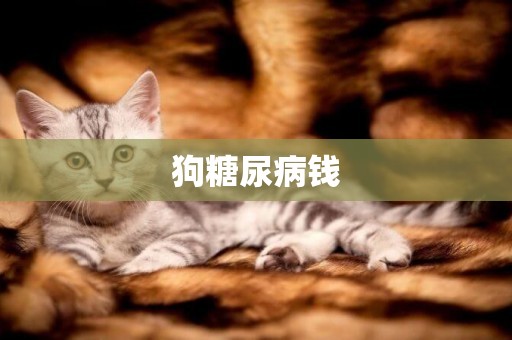 狗糖尿病錢