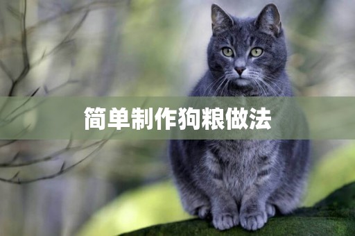 簡單制作狗糧做法