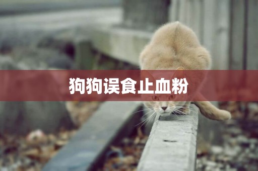 狗狗誤食止血粉