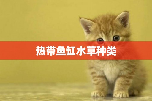 熱帶魚缸水草種類