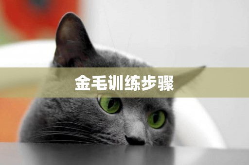 金毛訓練步驟