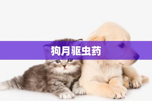 狗月驅蟲藥