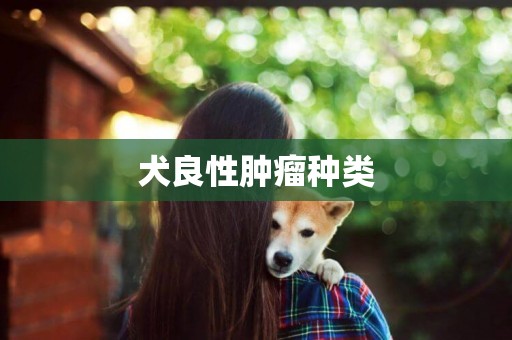 犬良性腫瘤種類