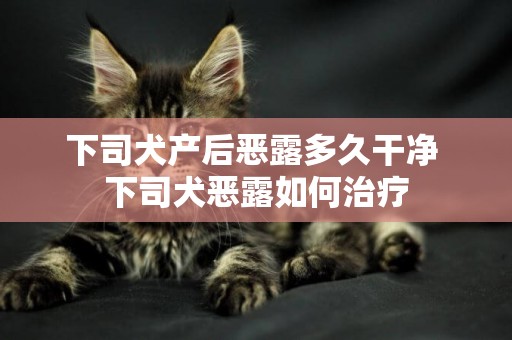 下司犬產后惡露多久干凈 下司犬惡露如何治療