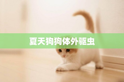 夏天狗狗體外驅蟲