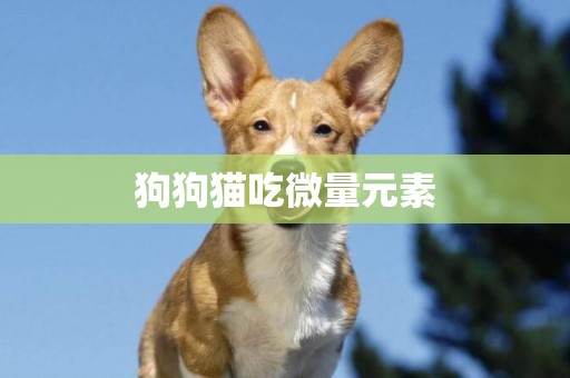 狗狗貓吃微量元素