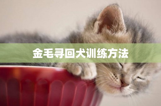 金毛尋回犬訓練方法
