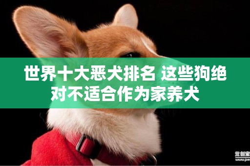世界十大惡犬排名 這些狗絕對不適合作為家養犬