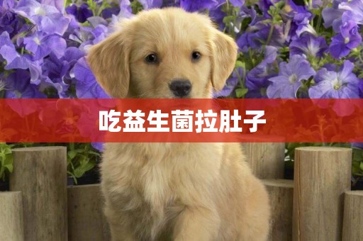 吃益生菌拉肚子