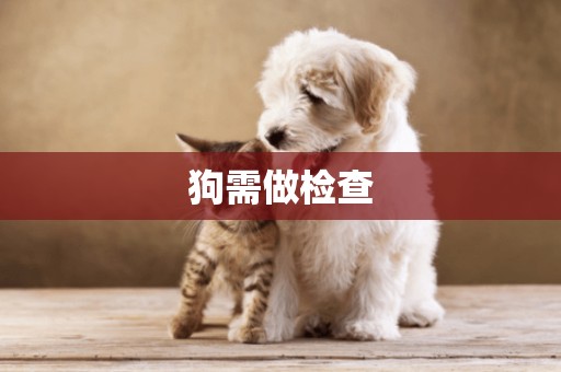 狗需做檢查
