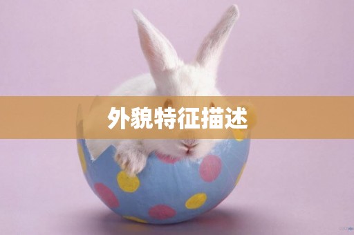 外貌特征描述