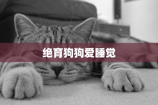 絕育狗狗愛睡覺