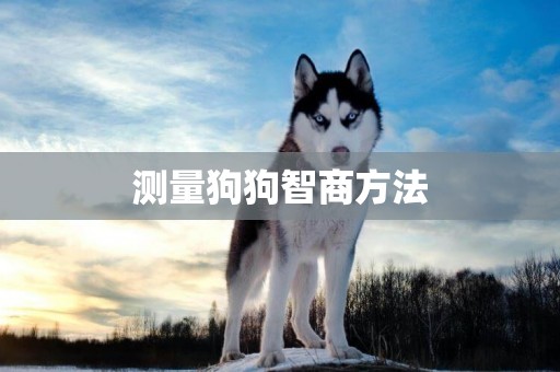 測量狗狗智商方法
