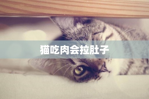 貓吃肉會拉肚子