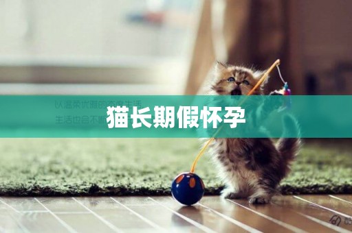 貓長期假懷孕