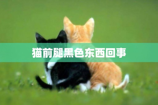 貓前腿黑色東西回事