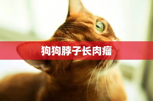 狗狗脖子長肉瘤