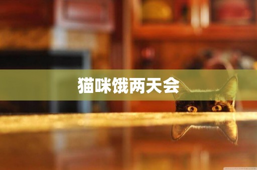 貓咪餓兩天會
