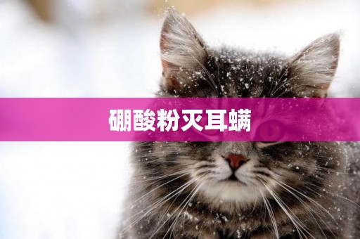 硼酸粉滅耳螨
