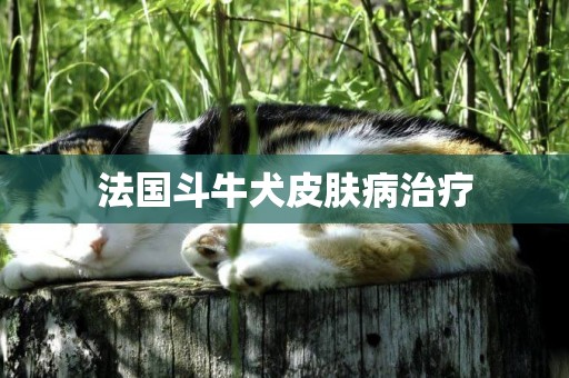 法國斗牛犬皮膚病治療