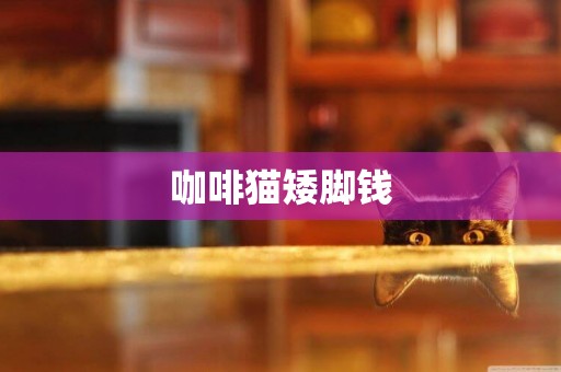 咖啡貓矮腳錢