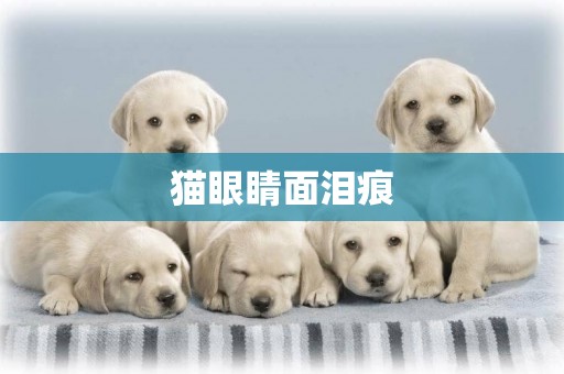 貓眼睛面淚痕