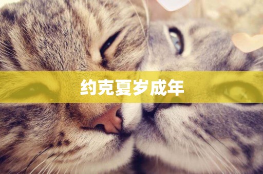 約克夏歲成年