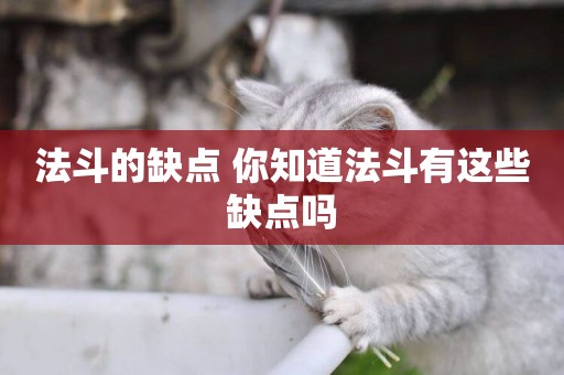 法斗的缺點 你知道法斗有這些缺點嗎
