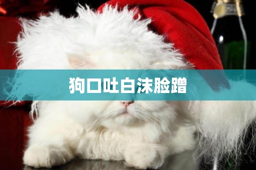 狗口吐白沫臉蹭