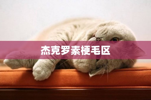 杰克羅素梗毛區
