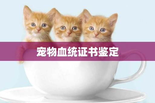 寵物血統證書鑒定