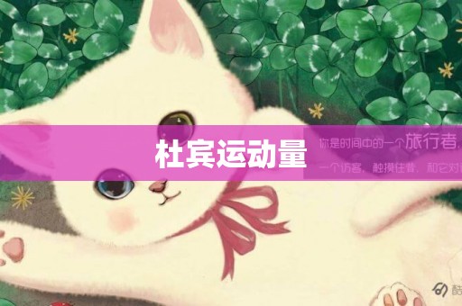杜賓運動量