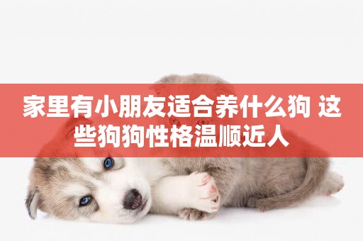 家里有小朋友適合養什么狗 這些狗狗性格溫順近人