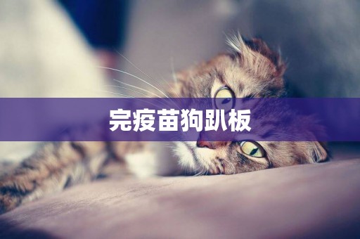 完疫苗狗趴板