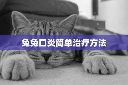 兔兔口炎簡單治療方法
