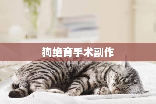 狗絕育手術副作