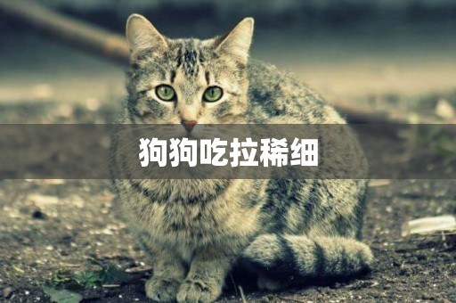 狗狗吃拉稀細