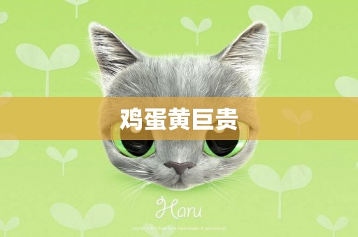 雞蛋黃巨貴