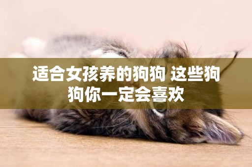 適合女孩養的狗狗 這些狗狗你一定會喜歡