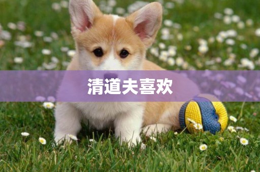 清道夫喜歡