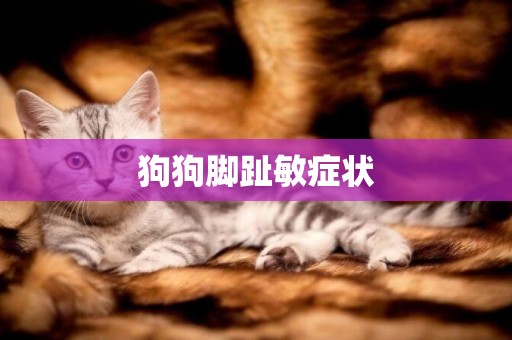 狗狗腳趾敏癥狀