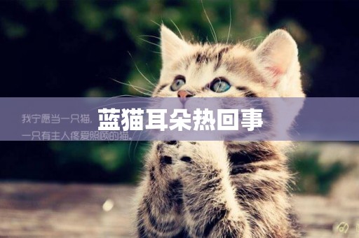 藍貓耳朵熱回事