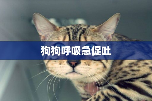 狗狗呼吸急促吐