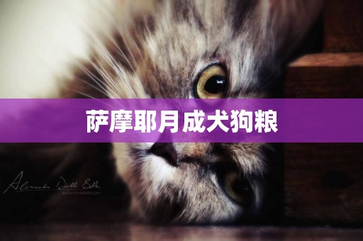 薩摩耶月成犬狗糧
