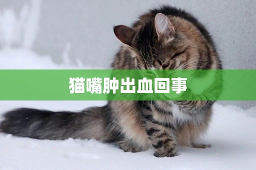 貓嘴腫出血回事