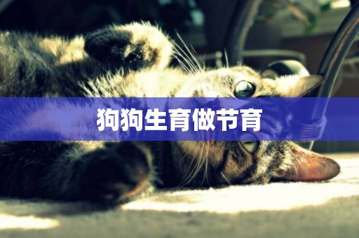 狗狗生育做節育