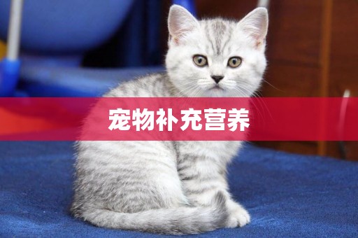 寵物補充營養