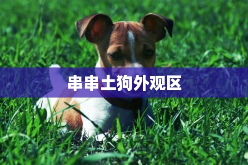 串串土狗外觀區