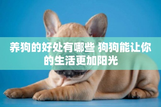 養狗的好處有哪些 狗狗能讓你的生活更加陽光